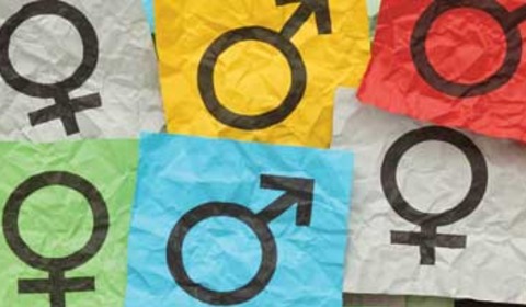 Thumb gender equity fact sheet banner